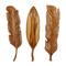 Set of 3 Brown Teak Wood Rustic Wall Decor 7", 27"